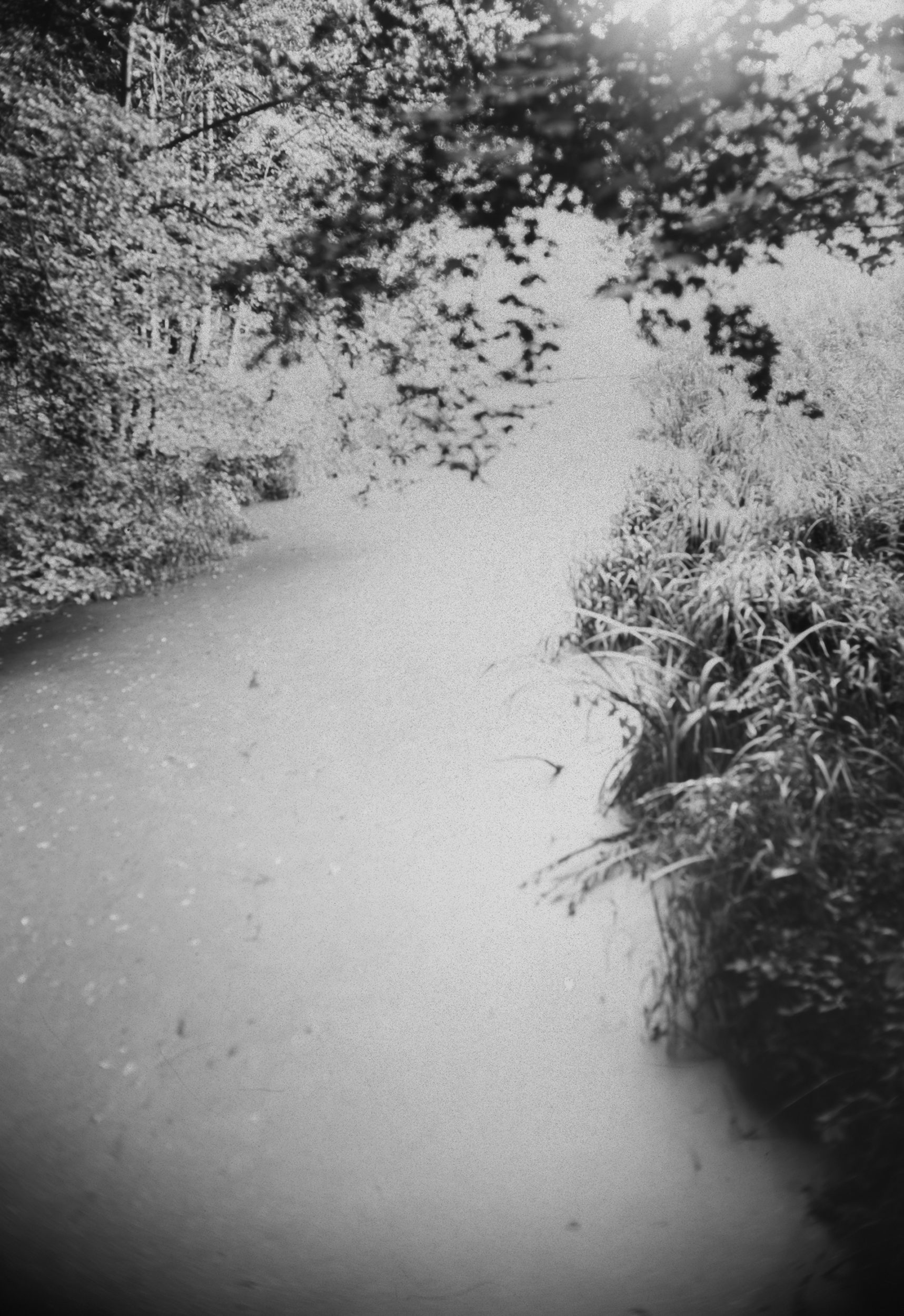 Czarno-biały widok fragmentu rzeki