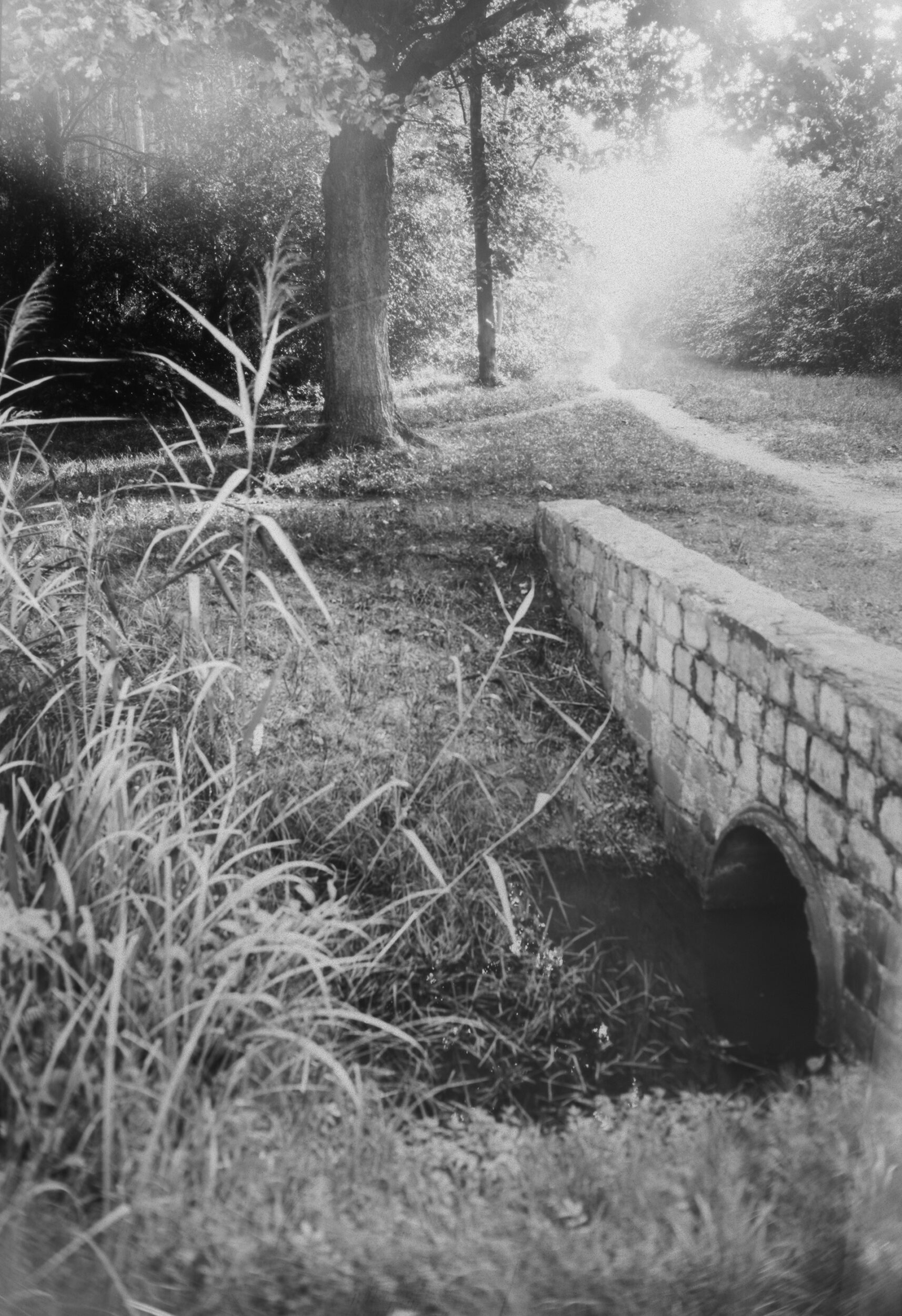 Mała rzeka, mostek i roślinność