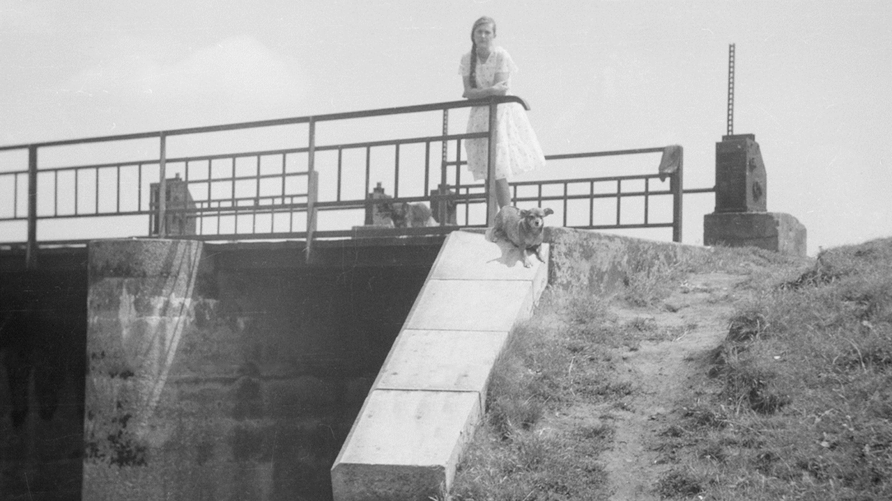 A black and white photograph showing a bride over a river, with a girl in a dress staying on it and a dog falling into the water