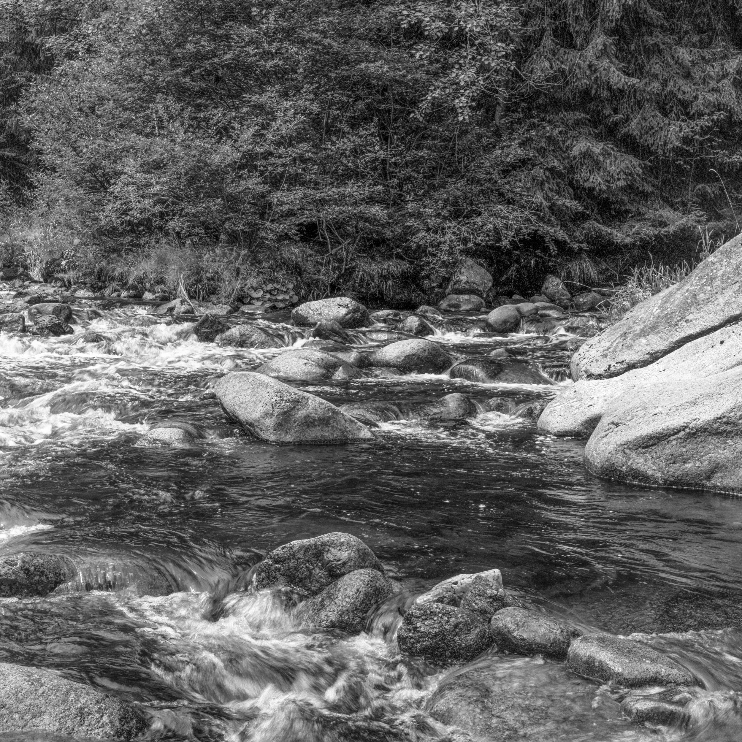 Izera z dopływem Mumlavy, 2025, skan negatywu typ 120, fot. Magdalena Mądra