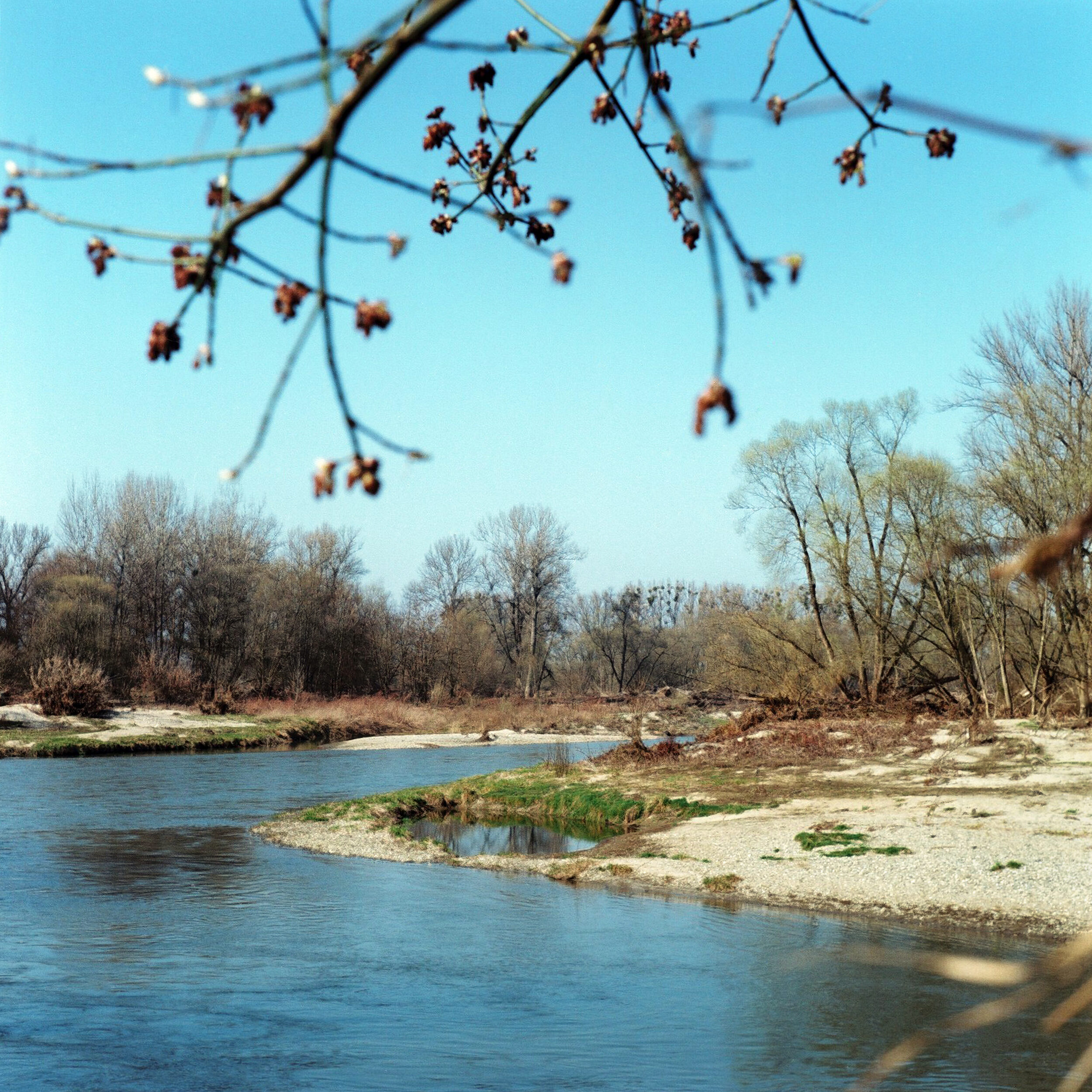 Meandry Odry na granicy polsko-czeskiej, 2025 skan negatywu typ 120, fot. M. Mądra