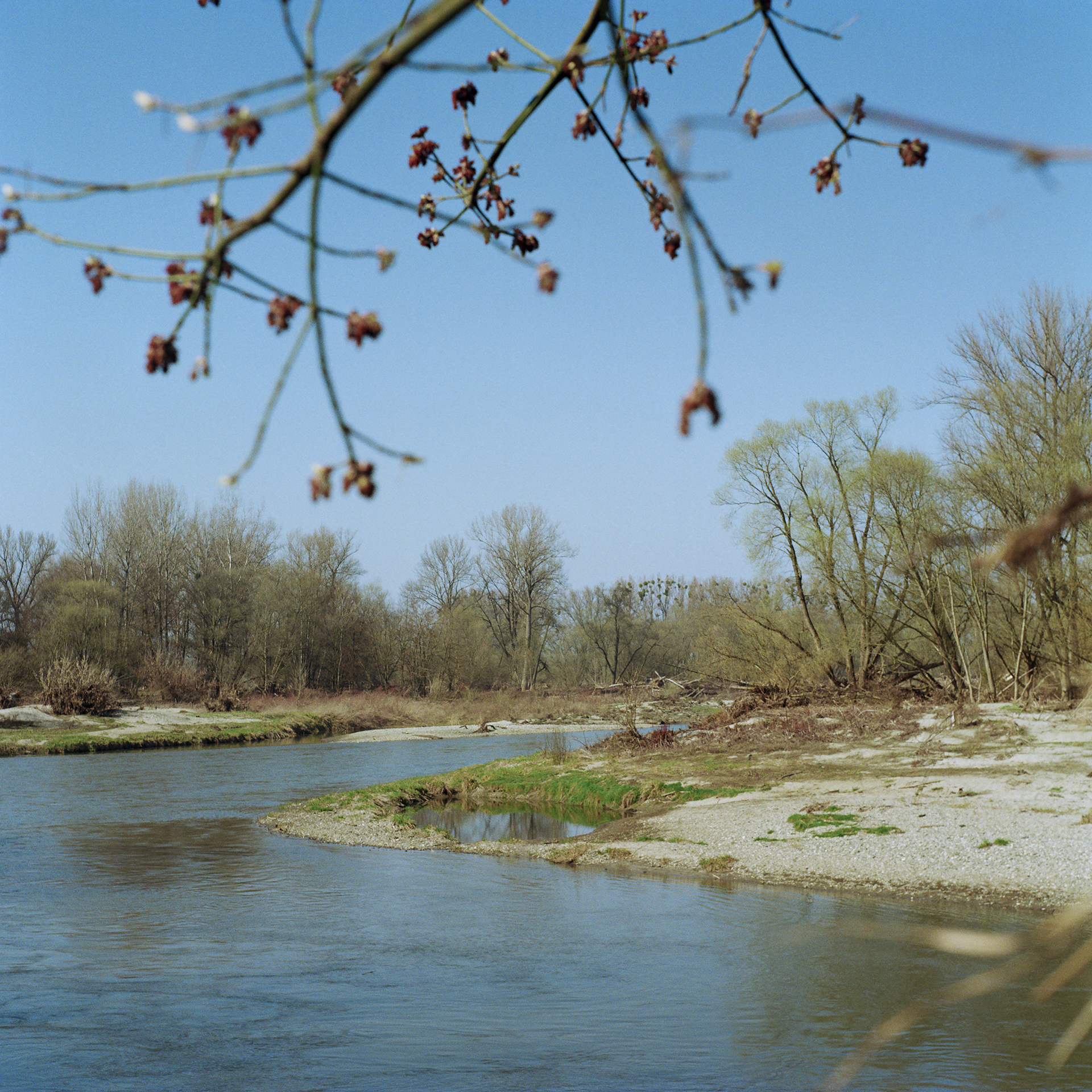 Odra w okolicy Bohumina, skan negatywu typu 120, fot. M. Mądra